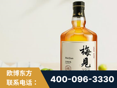丹江口-梅见青梅酒